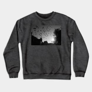 Pigeons flying over Torun city, Poland Crewneck Sweatshirt